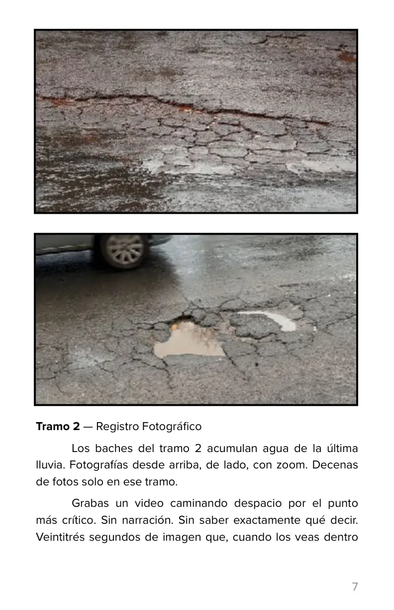 Infografía
